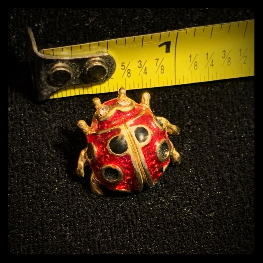 Vintage ladybug pin